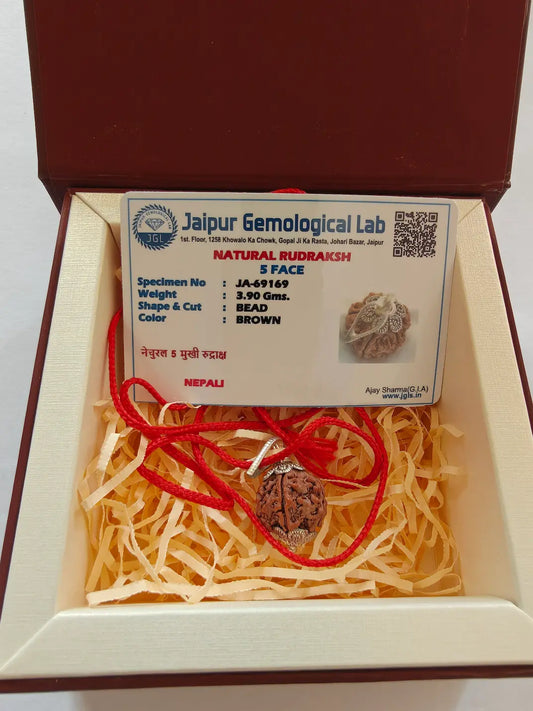 Lab certified 5 Mukhi Rudraksha inside Sankalpa Stone keepsake box