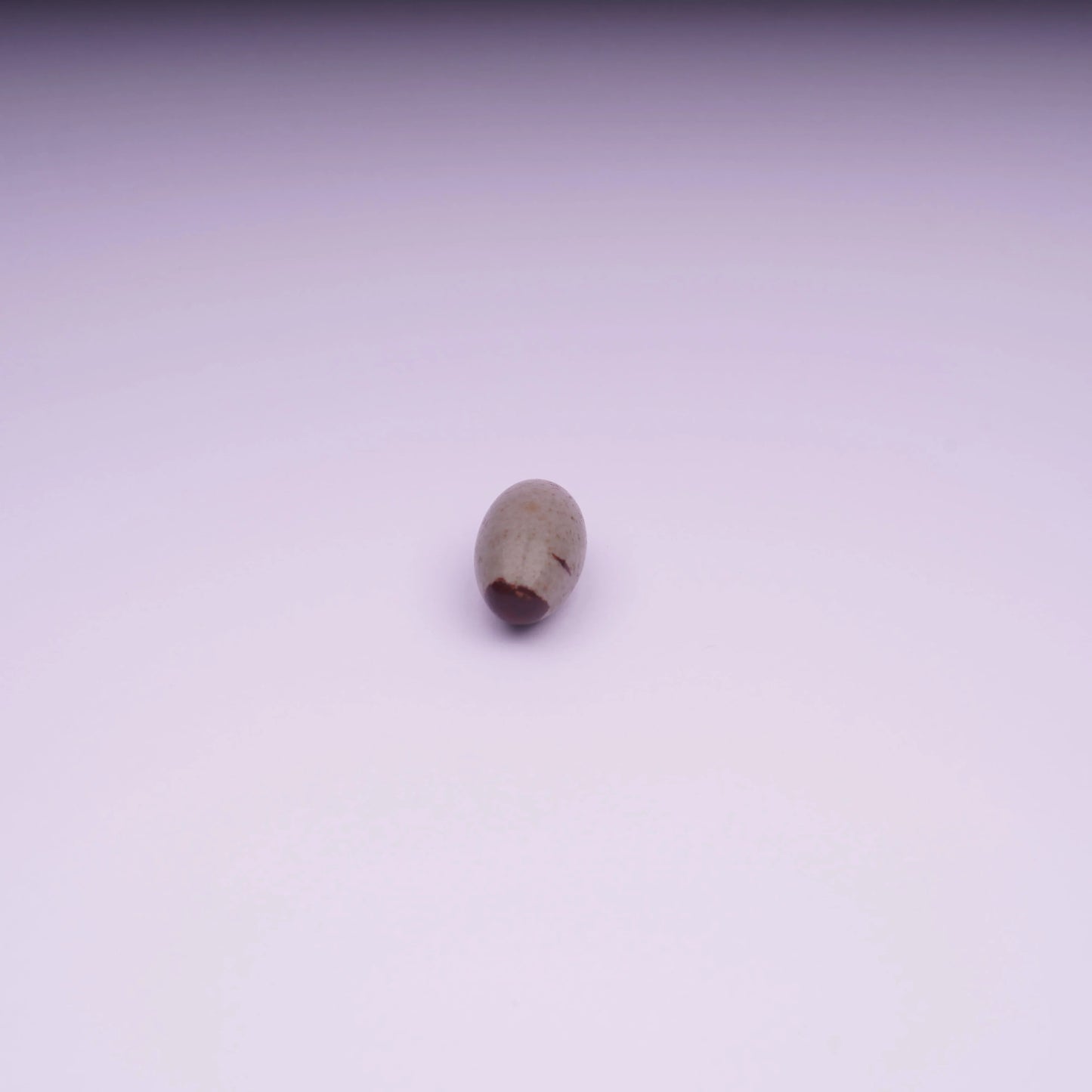 Single polished oval stone on white background, minimalist product photo