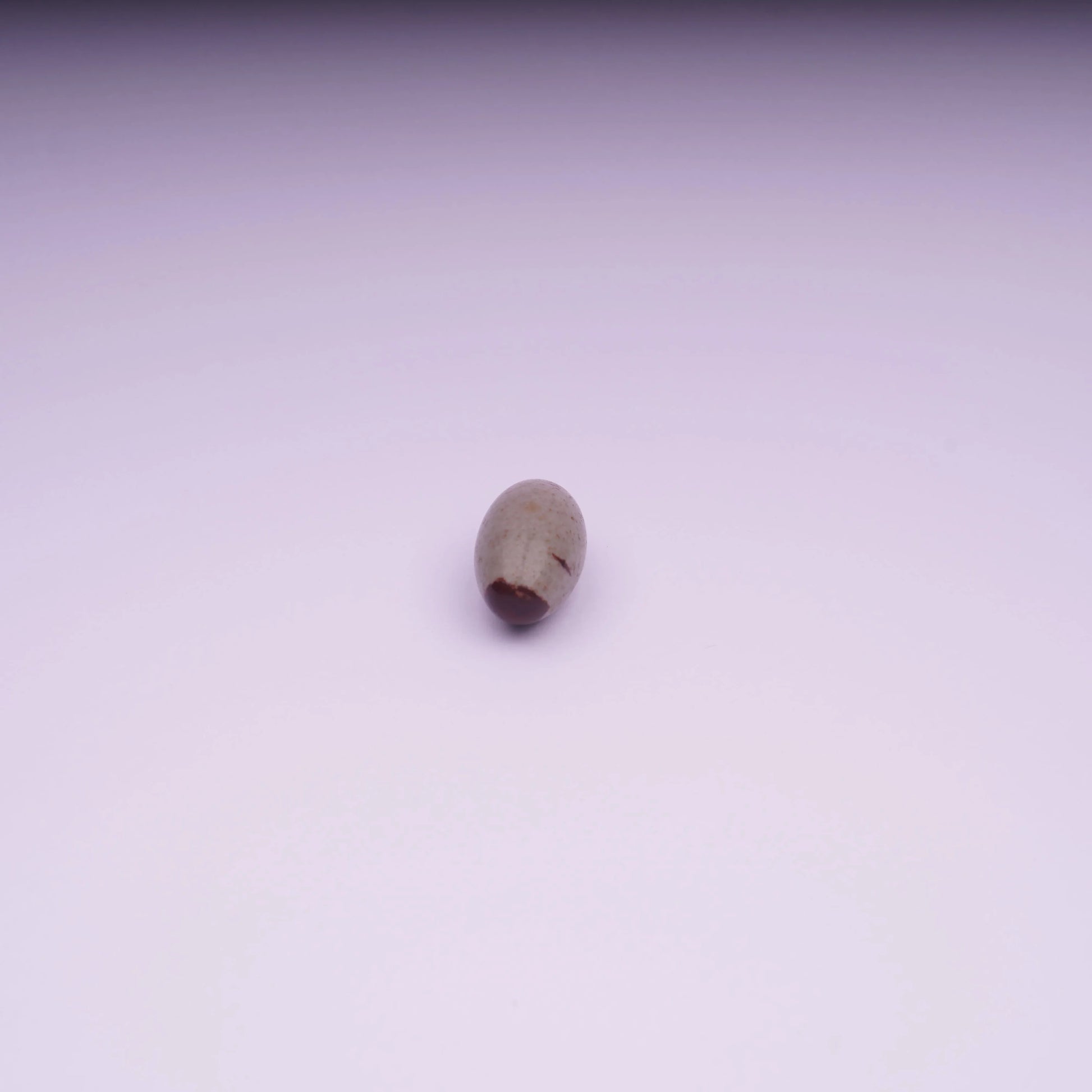 Single polished oval stone on white background, minimalist product photo