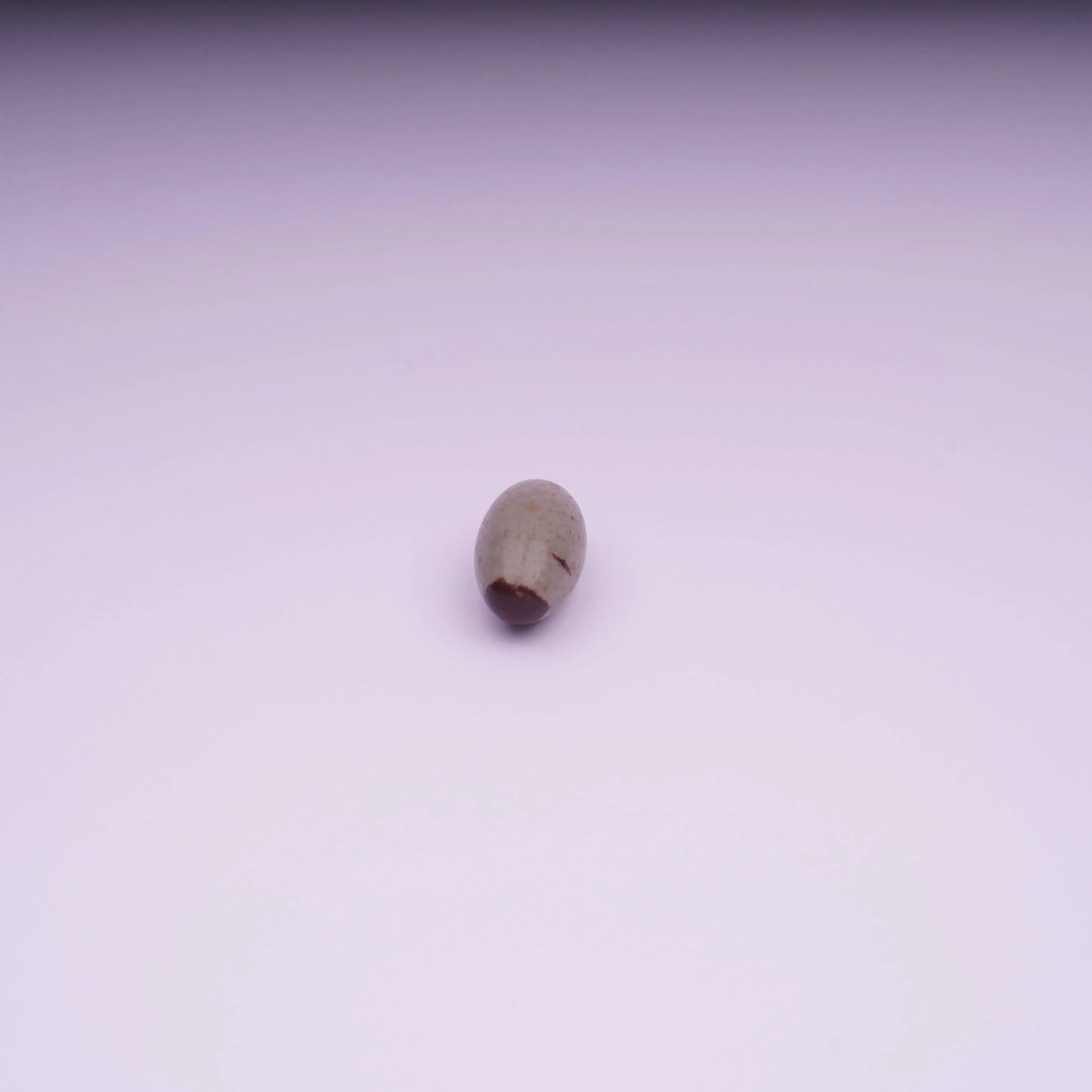 Natural Narmadeshwara Shivling oval river stone close-up