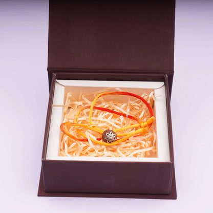 7 Mukhi Rudraksha pendant with orange-yellow thread in a gift box
